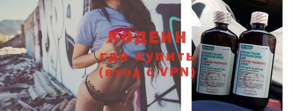 ПСИЛОЦИБИНОВЫЕ ГРИБЫ Ельня
