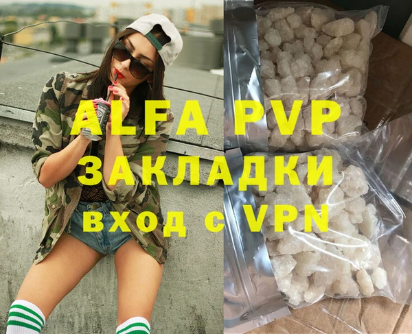ПСИЛОЦИБИНОВЫЕ ГРИБЫ Ельня