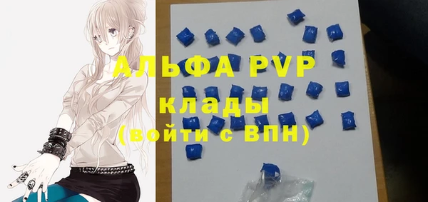 гашик Заводоуковск