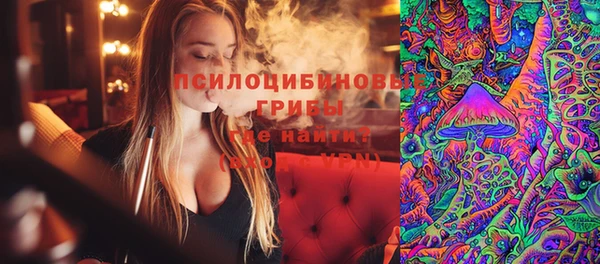 дмт Елизово