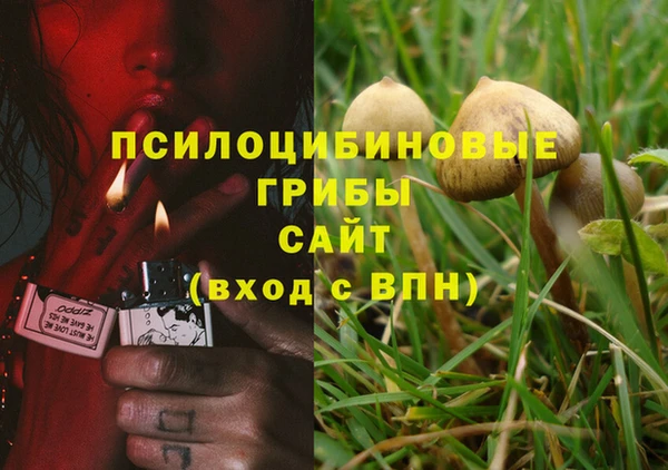 дмт Елизово