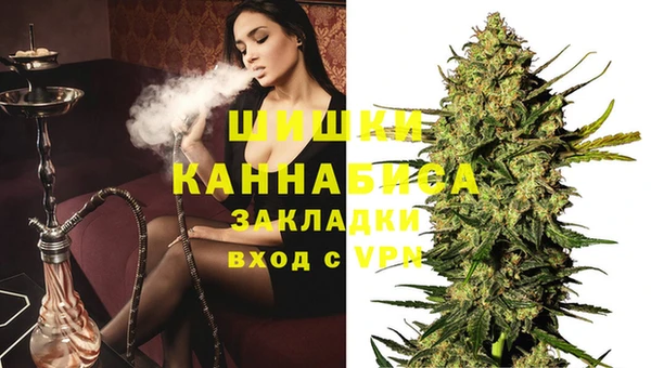 гашик Заводоуковск