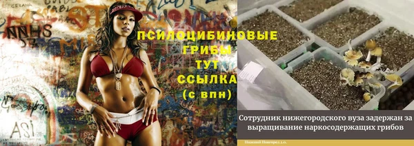 ПСИЛОЦИБИНОВЫЕ ГРИБЫ Ельня