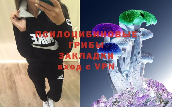 гашик Заводоуковск