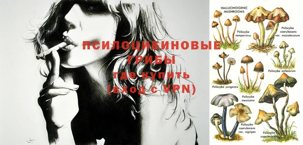 ПСИЛОЦИБИНОВЫЕ ГРИБЫ Ельня