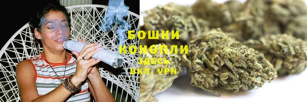 ПСИЛОЦИБИНОВЫЕ ГРИБЫ Ельня