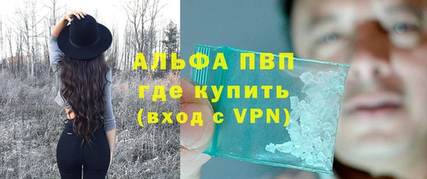 дмт Елизово